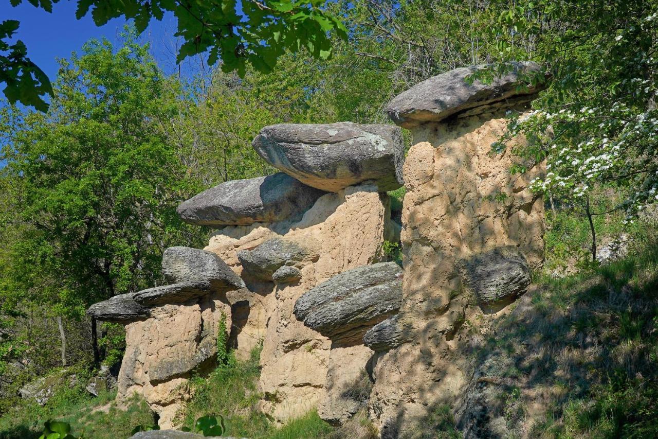 Pensione Albergo Diffuso Ceaglio Valle Maira Marmora Dış mekan fotoğraf